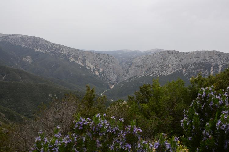 Wandern Sardinien Cala Gonone